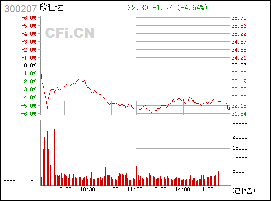 探索欣旺达，解码300207的独特魅力，解码欣旺达独特魅力，探索股票代码300207的奥秘