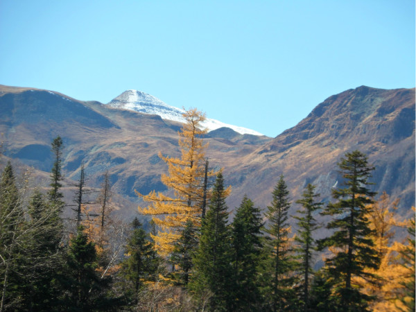 长白山北坡自助旅游攻略,长白山北坡自助游攻略大全