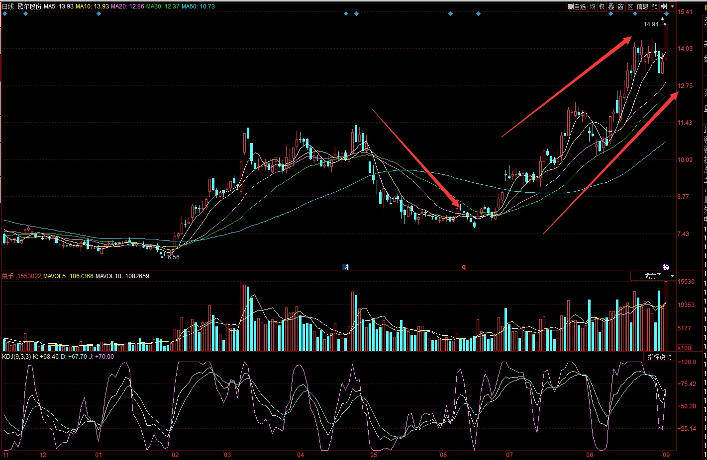 深度解析,603316股票行情及市场走势,深度解析,股票行情与市场走势分析——聚焦603316股票