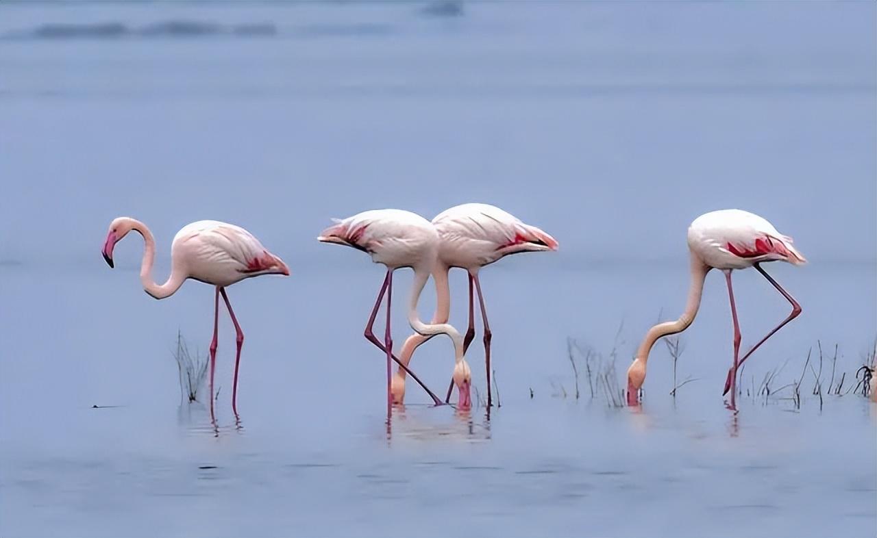 运城约会吧——探寻浪漫之城的独特魅力，运城约会胜地探寻，浪漫之城的独特魅力