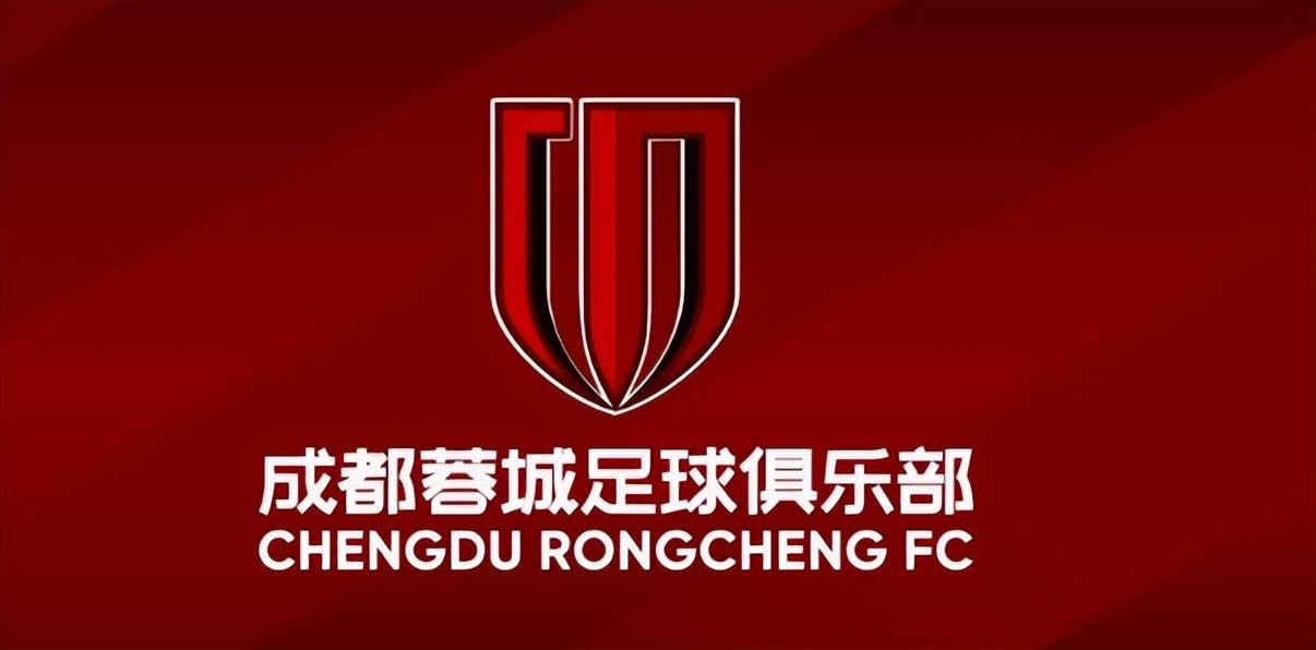 新澳六开奖结果资料查询，探索与解析，新澳六开奖结果解析与查询探索