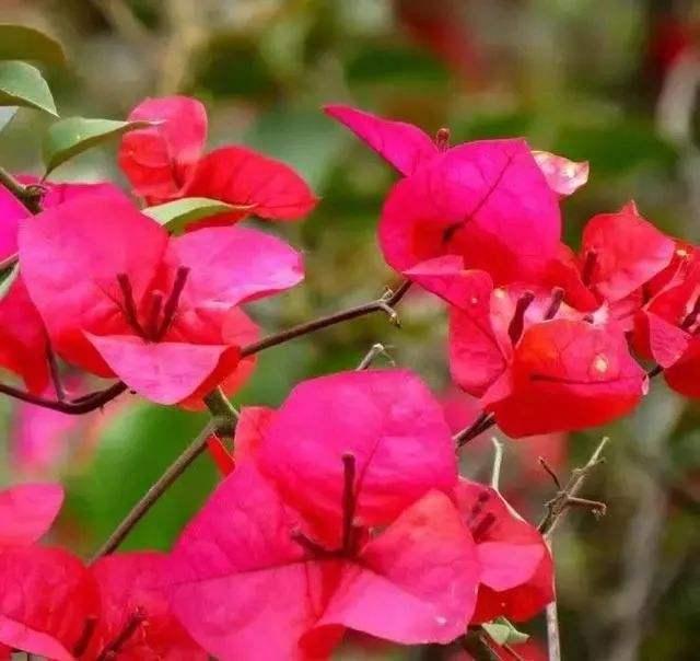 揭秘美国加州时间现在几点,跨越时空的探秘之旅,揭秘美国加州时间,时空探秘之旅开启