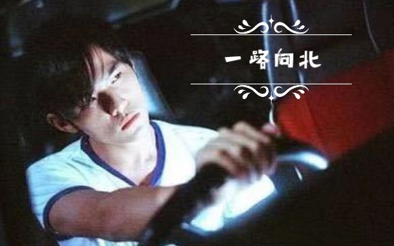 一路向北,高清在线观看的魅力体验,一路向北,高清在线观看的极致体验