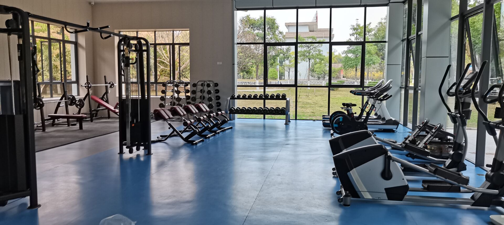 全身运动健身器材的种类与功能，全身运动健身器材的种类与功能简介