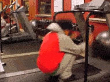 选购跑步机,主要需要注意的几个方面,选购跑步机需要注意的几大要点