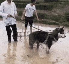 选购跑步机，主要需要注意的几个方面，选购跑步机需要注意的几大要点