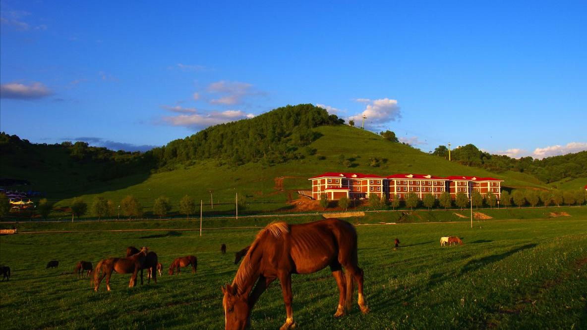 关山牧场,自然与人文的和谐交响,关山牧场,自然与人文的和谐乐章