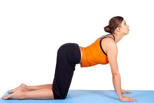 瘦肚子最简单的动作——打造完美腹部线条的秘诀,瘦肚子秘诀,简单动作打造完美腹部线条