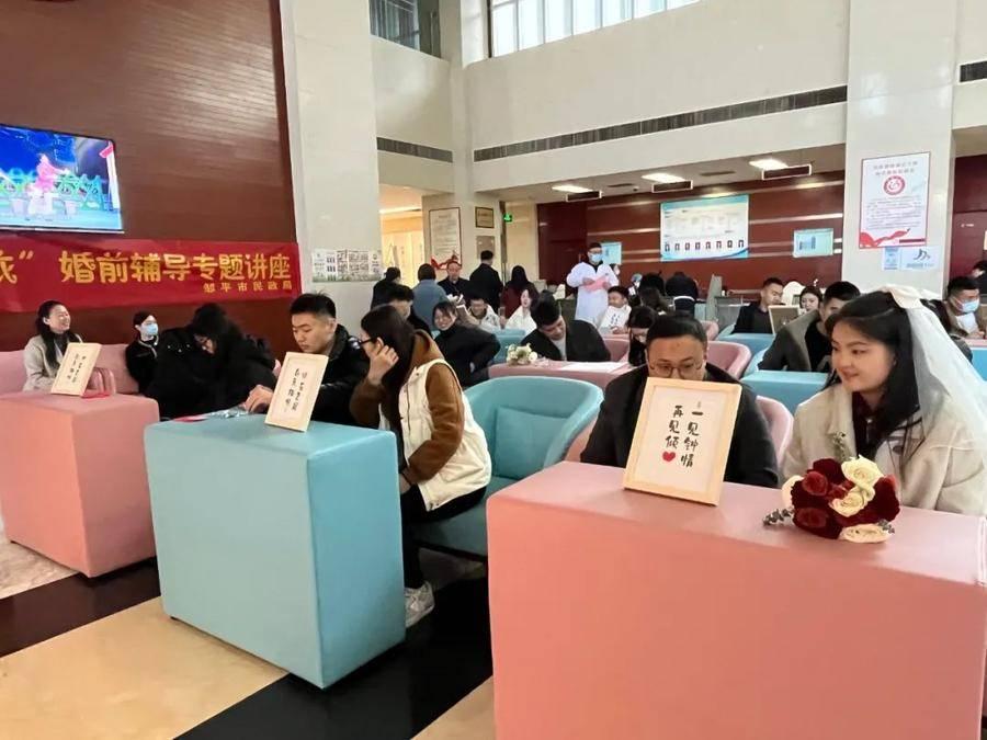 深度解析与推荐