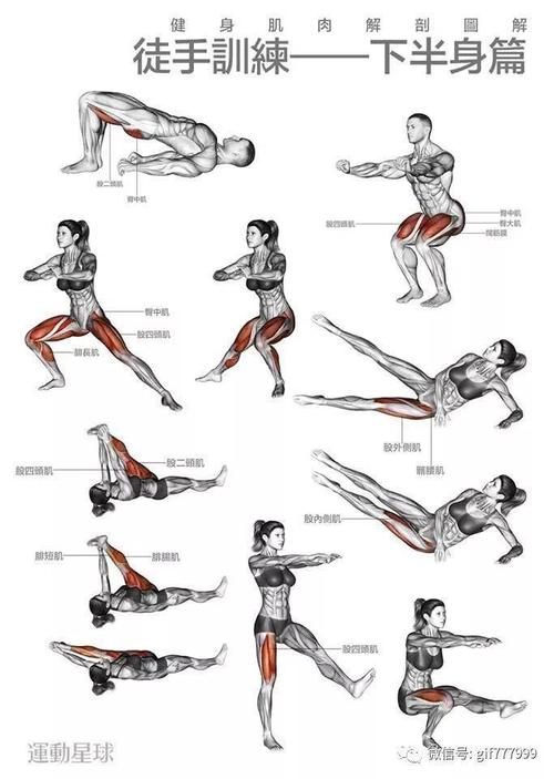 一个动作练全身肌肉的方法，高效全身锻炼攻略，高效全身锻炼，一动作练就完美肌肉身材
