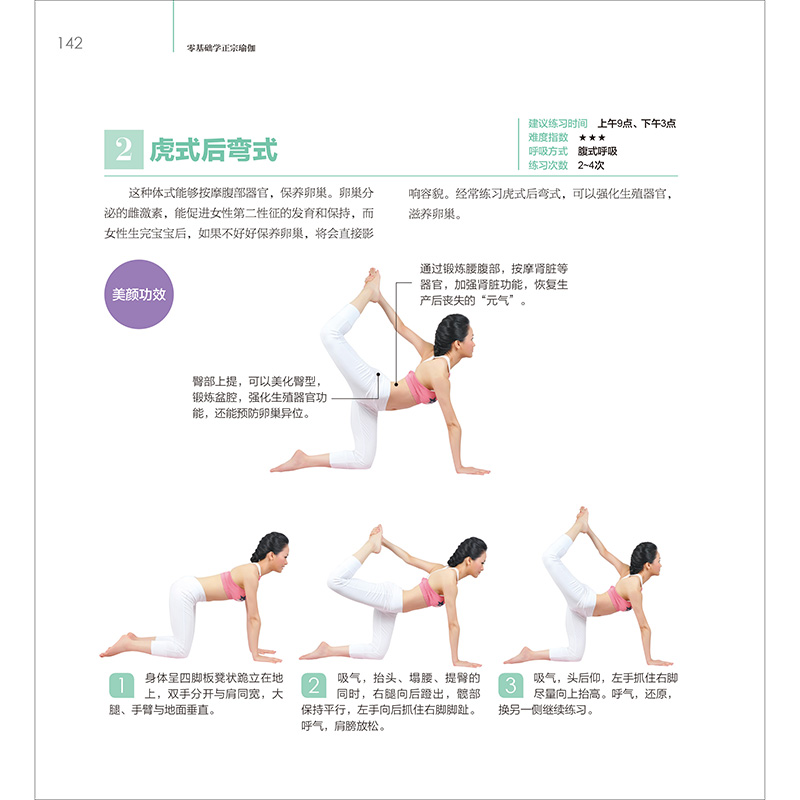 瑜伽基础教学,入门指南与技巧解析,瑜伽基础入门指南,教学与技巧解析