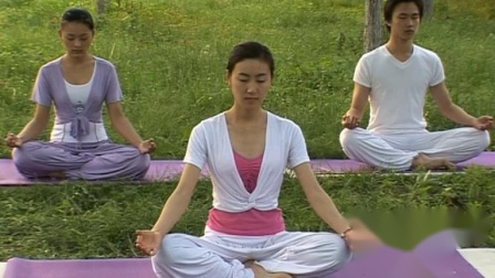 瑜伽基础教学,入门指南与技巧解析,瑜伽基础入门指南,教学与技巧解析