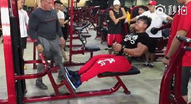 鹿晨辉梦想健身学院,塑造健康体魄,铸就人生梦想,鹿晨辉梦想健身学院,塑造健康体魄,成就人生梦想之旅