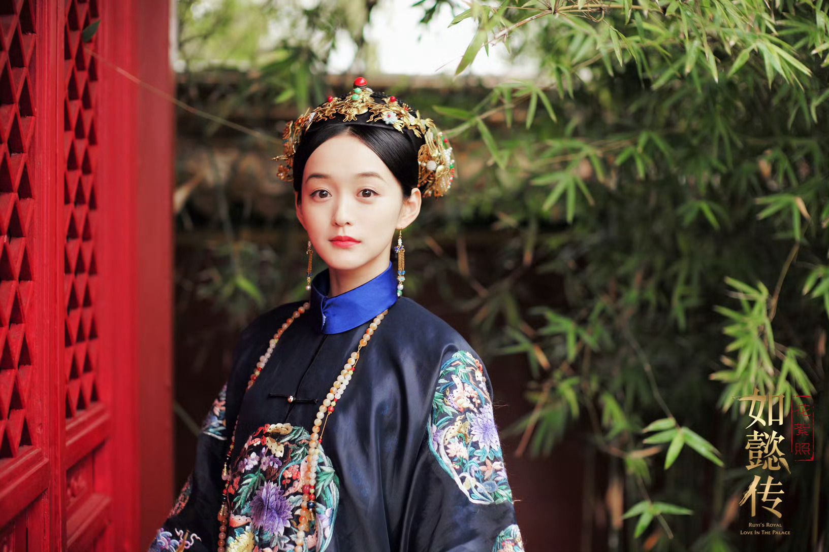 如懿传电视剧免费完整版,深度解析与观感分享,如懿传电视剧深度解析与观感分享,免费完整版观看体验