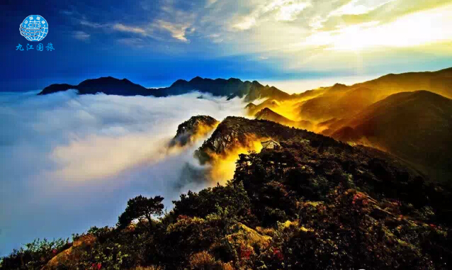 庐山一日游最佳顺序攻略，庐山一日游最佳路线攻略