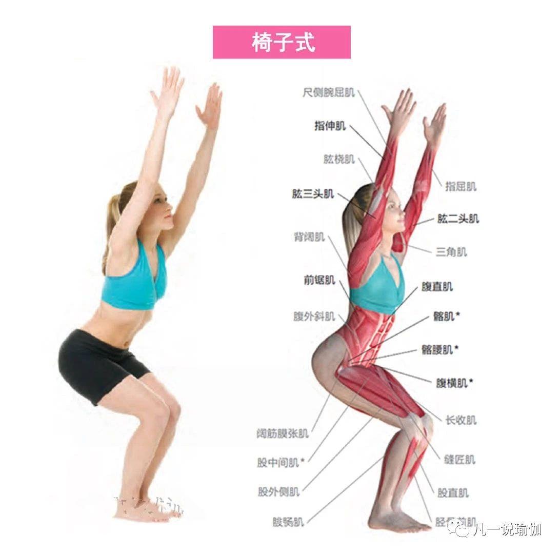 瑜伽基础视频，引领你走进瑜伽的世界，瑜伽基础视频，带你走进瑜伽的世界探索之旅