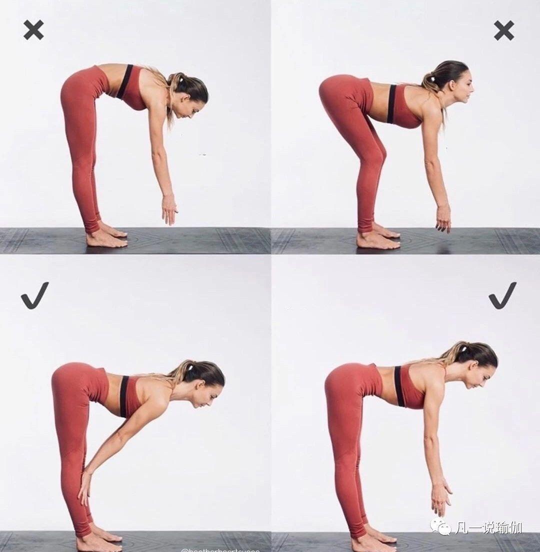 瑜伽基础视频,引领你走进瑜伽的世界,瑜伽基础视频,带你走进瑜伽的世界探索之旅