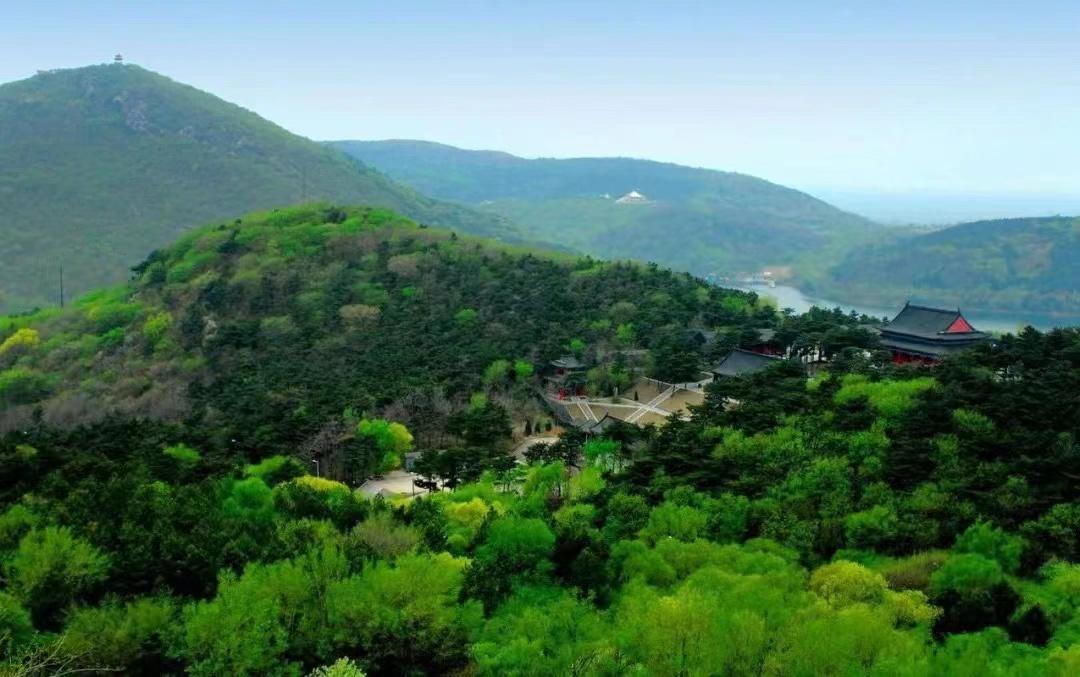 沈阳旅行社一日游,探索历史文化名城的新魅力,沈阳一日游,探索历史文化名城的新魅力之旅