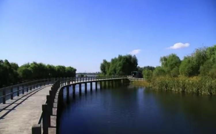 沈阳旅行社一日游,探索历史文化名城的新魅力,沈阳一日游,探索历史文化名城的新魅力之旅