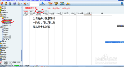 新股申购与中签查询,探索股市投资的神秘之旅,新股申购与中签查询,股市投资的神秘之旅探索