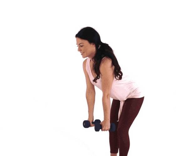 健身30分钟完整版，高效锻炼，重塑健康生活方式，健身30分钟完整版，高效锻炼重塑健康生活之路