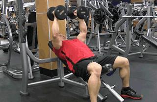 在家打造完美胸肌,哑铃锻炼胸肌动作指南,在家打造完美胸肌,哑铃锻炼胸肌动作全攻略