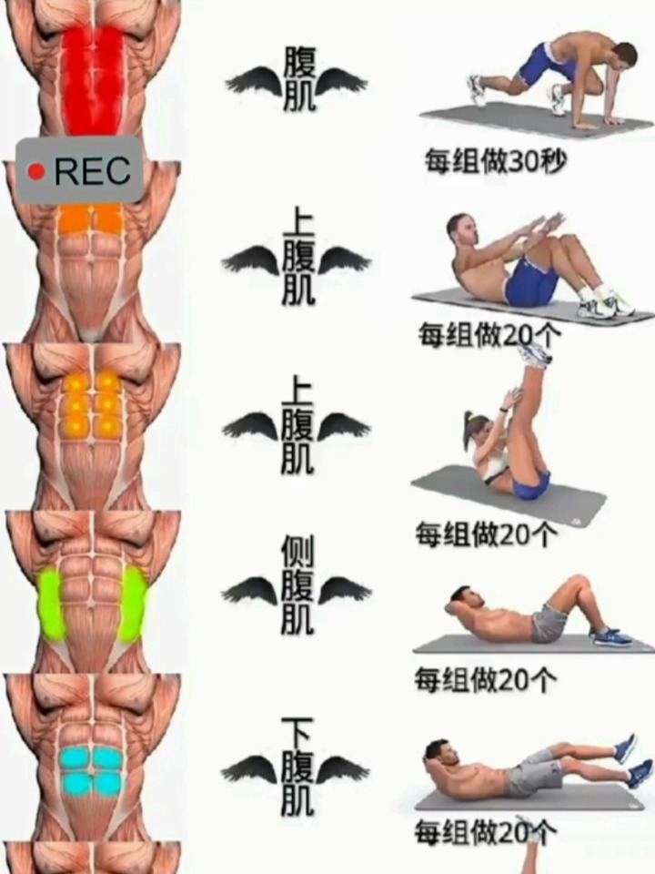 腹肌练法,塑造完美腹部线条的艺术,腹肌锻炼秘籍,塑造完美腹部线条的艺术