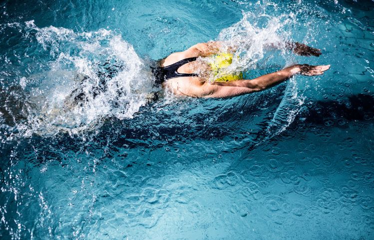 零基础自学游泳,从入门到精通的全方位指南,零基础自学游泳,全方位入门到精通指南