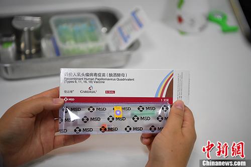 二四六香港管家婆期期准资料大全,深度解析与实用指南,香港管家婆期期准资料深度解析与实用指南