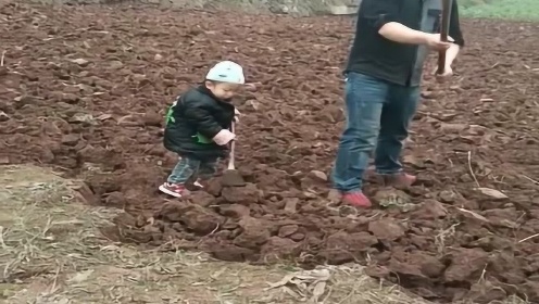 最小年龄参与工作的探讨与思考,最小年龄参与工作的探讨与反思