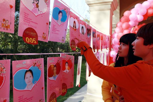 国内婚介,探索与洞察,国内婚介行业的探索与洞察
