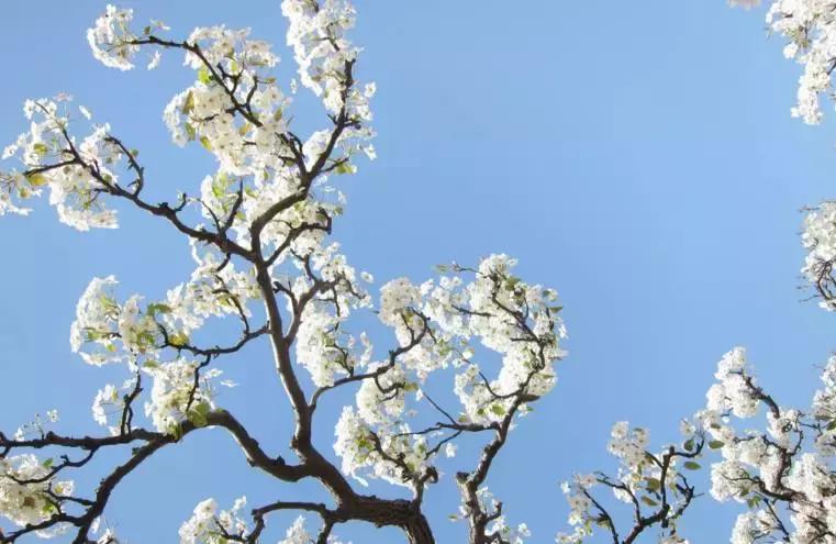 河北张家界所在城市详解,河北张家界城市详解