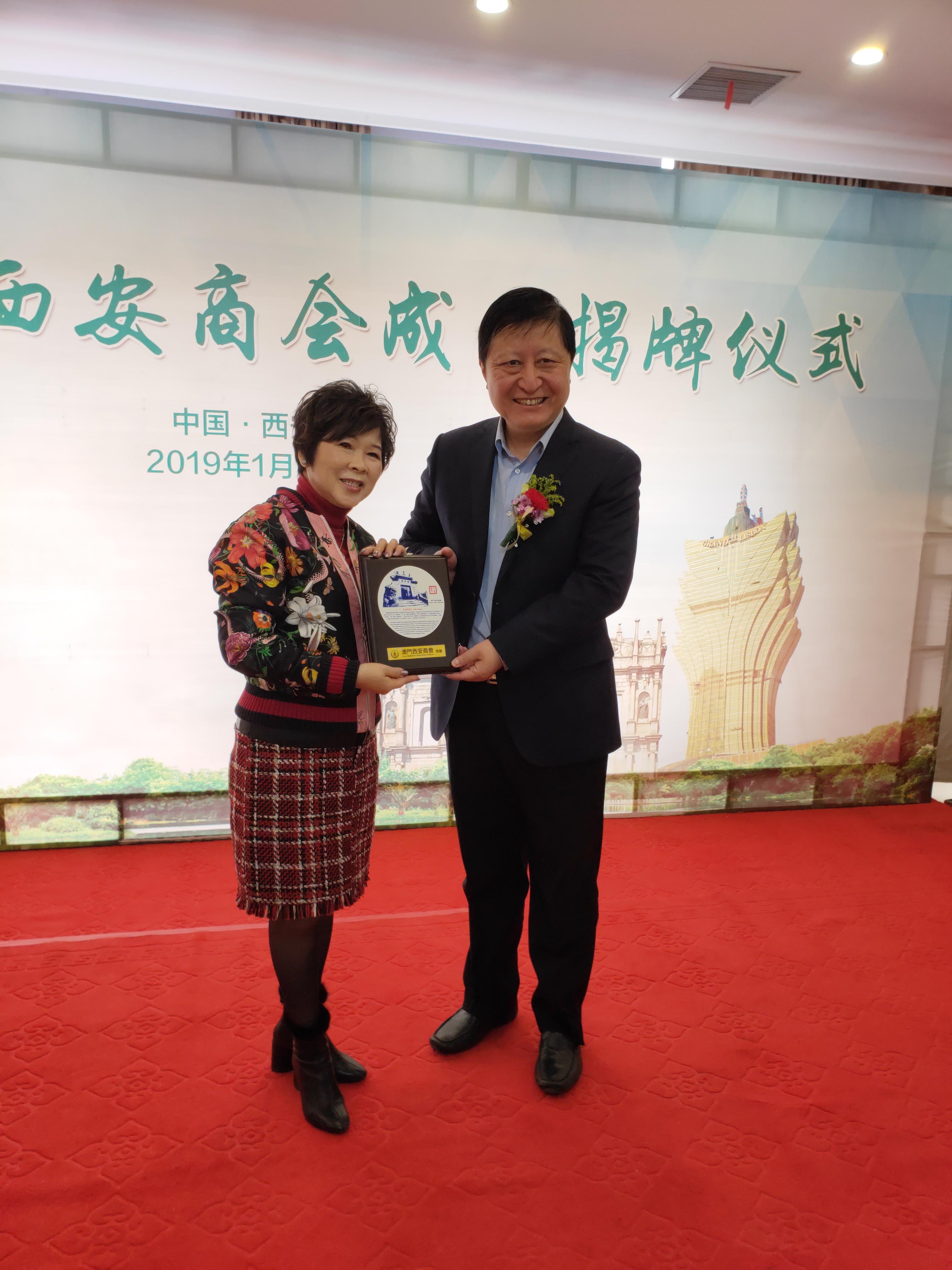 新澳门今晚精准一肖预测——探索命运的神秘领域,澳门今晚精准生肖预测,命运神秘领域的探索