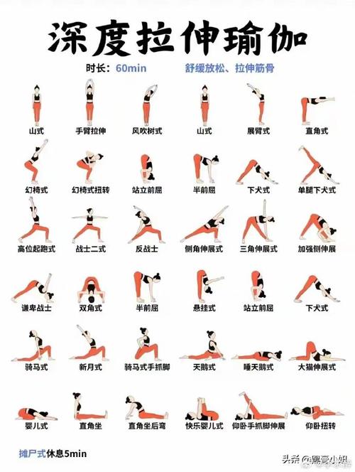 瑜伽的种类与适合人群,瑜伽的种类与适宜人群简介