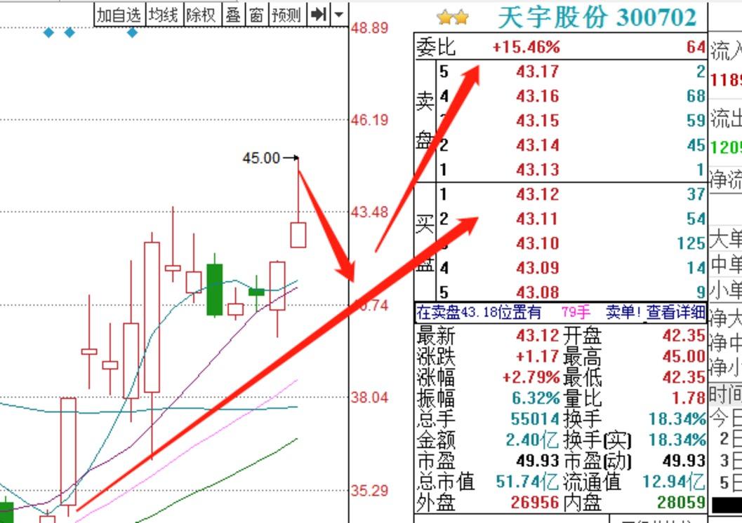 股票投资深度解析，聚焦股票002916，股票投资深度解析，聚焦股票代码002916的投资策略与趋势分析