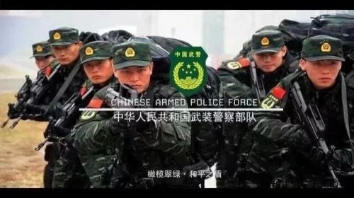 服兵役与兵种多样性,探究不同兵种的魅力与挑战,服兵役与兵种多样性,探究不同兵种的魅力及挑战