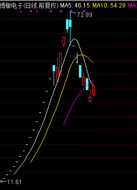 高伟达历史最高价,探究其背后的因素与未来发展,高伟达历史最高价背后的推动力与未来展望