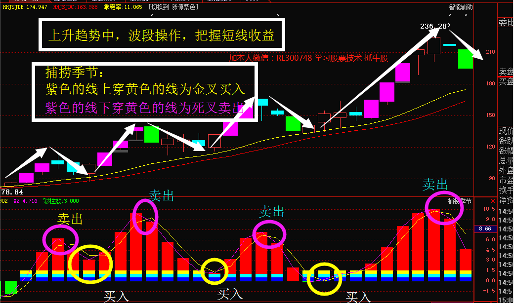 巨轮智能的未来,十倍牛股的潜力展望,巨轮智能未来展望,十倍牛股潜力揭秘