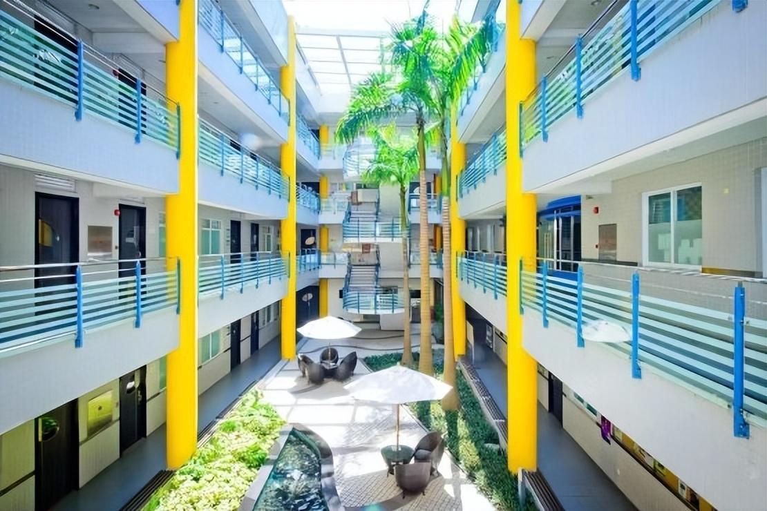 新澳门免费资料大全在线查看,探索与解读,新澳门免费资料在线探索与解读大全