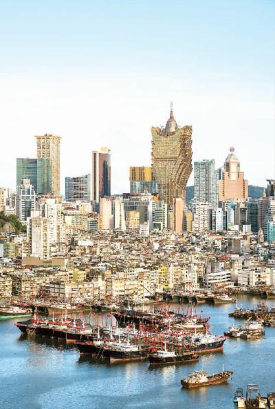 新澳门免费资料大全在线查看,探索与解读,新澳门免费资料在线探索与解读大全