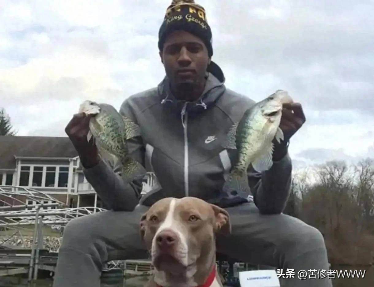 澳门最准四不像,神秘与魅力的独特融合,澳门神秘四不像,独特魅力的融合之旅