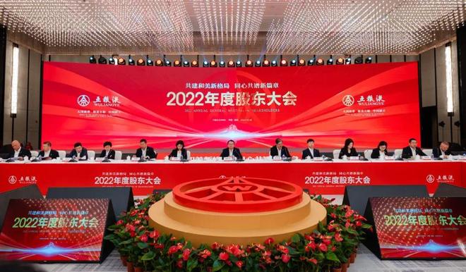 五粮液股票未来展望，能否持续攀升至300元？，五粮液股票未来展望，能否继续攀升至300元大关？