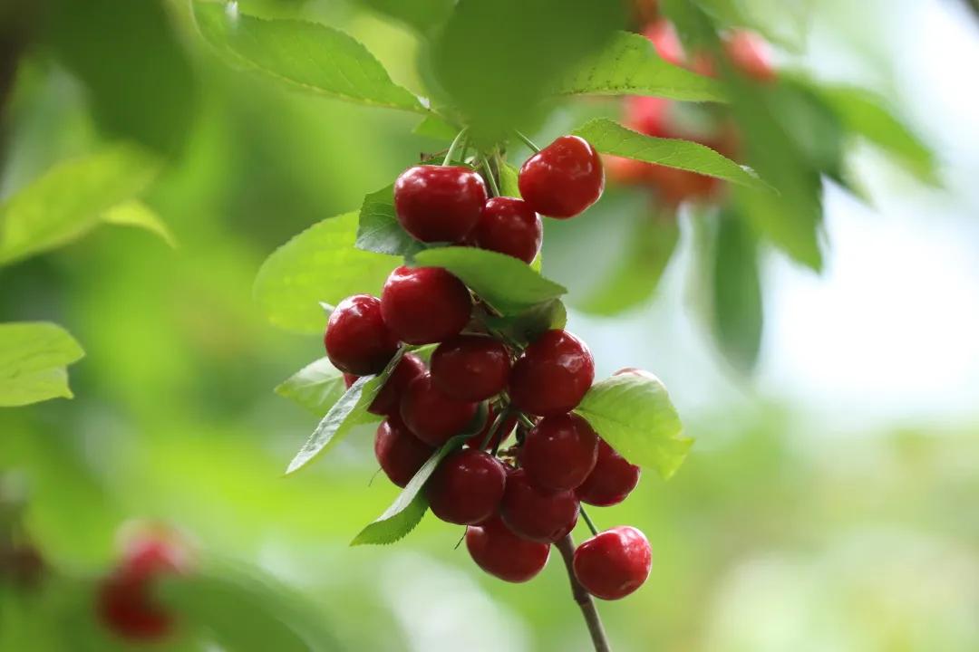 正版资料全年资料大全，一站式获取优质资源的指南，正版资料全年资源汇总，一站式获取优质资源指南