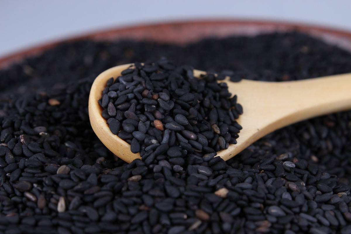 黑芝麻未来能否涨到10元?市场分析与预测,黑芝麻未来价格走势分析与预测,能否冲破10元大关?