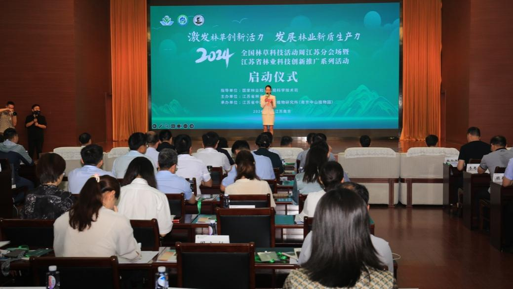 国林科技,引领科技新潮流,塑造未来新格局,国林科技,引领科技潮流,塑造未来新格局