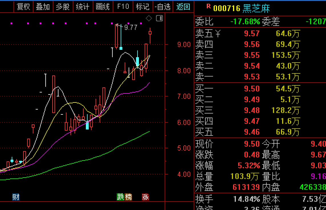 黑芝麻股票，未来能否攀升至20元？，黑芝麻股票未来走势预测，能否冲破20元大关？