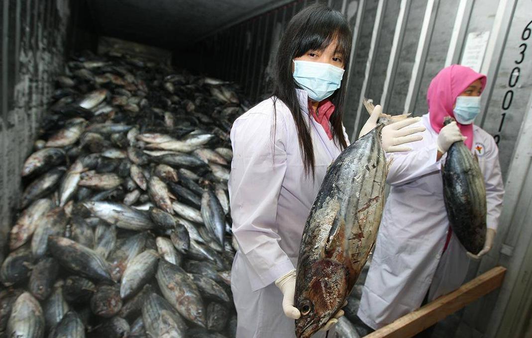 探索新澳门正版免费资本车，未来出行的新篇章，澳门正版免费资本车探索，未来出行的新篇章