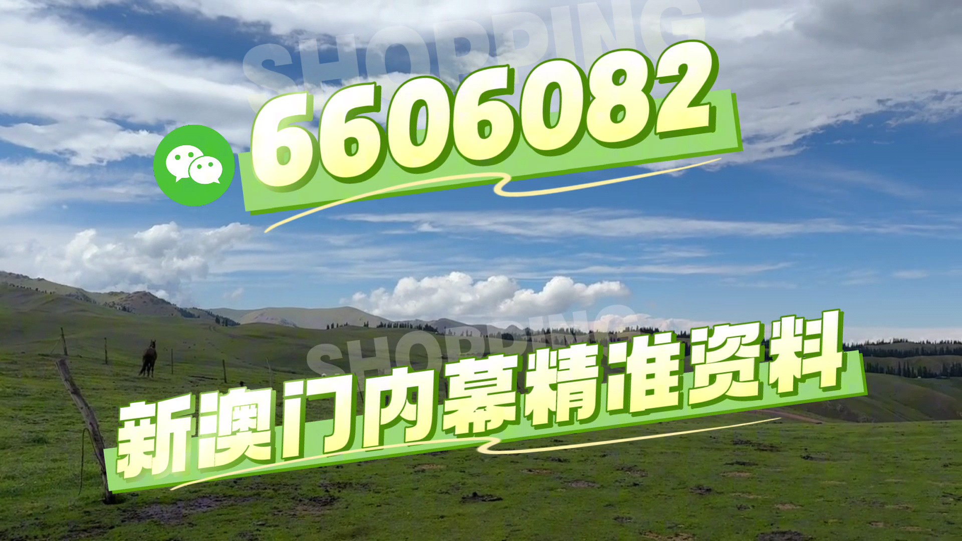 澳门今晚必开一肖一特,探索背后的文化魅力与预测逻辑,澳门今晚生肖预测背后的文化魅力与预测逻辑探索
