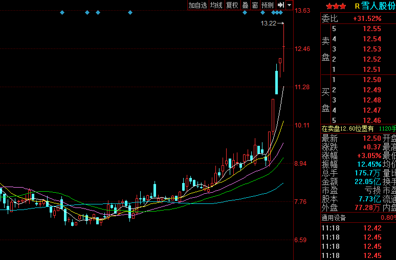雪人股份还会大涨吗，深度分析与前景预测，雪人股份的未来走势，深度分析与前景预测