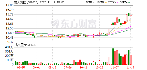 雪人股份目标价2024年，深度分析与展望，雪人股份2024年目标价深度分析与展望